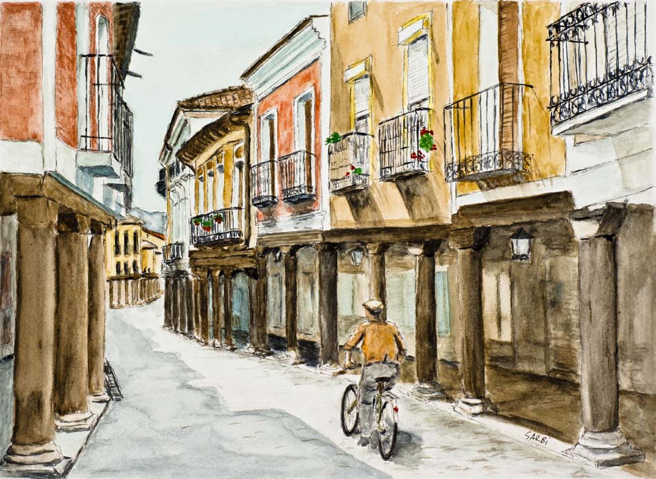 Lee más sobre el artículo Medina de Rioseco y las Rutas de Delibes